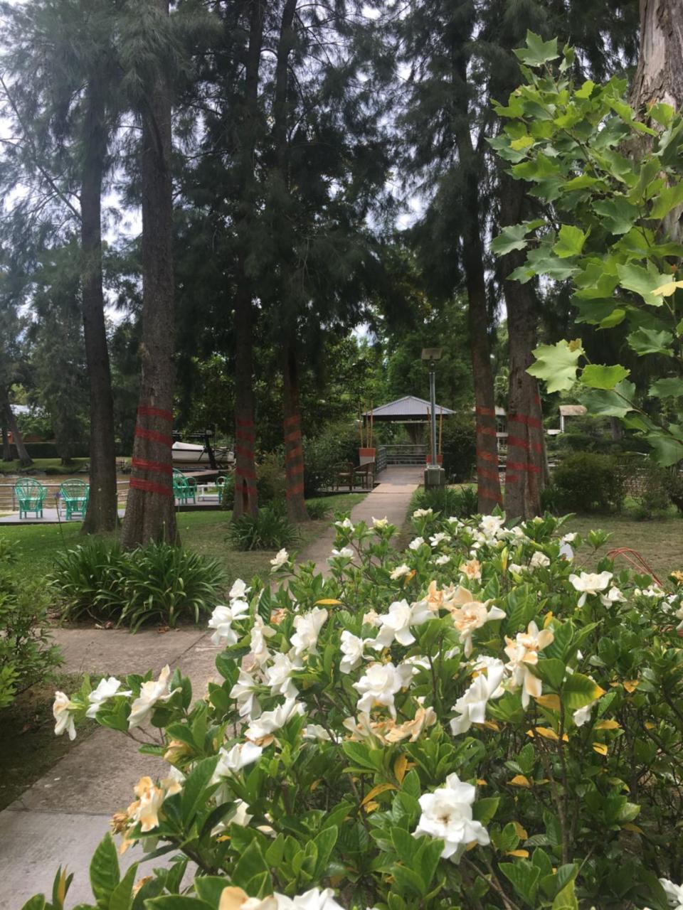 Cabanas Del Espera N 65 Villa Тигре Екстериор снимка